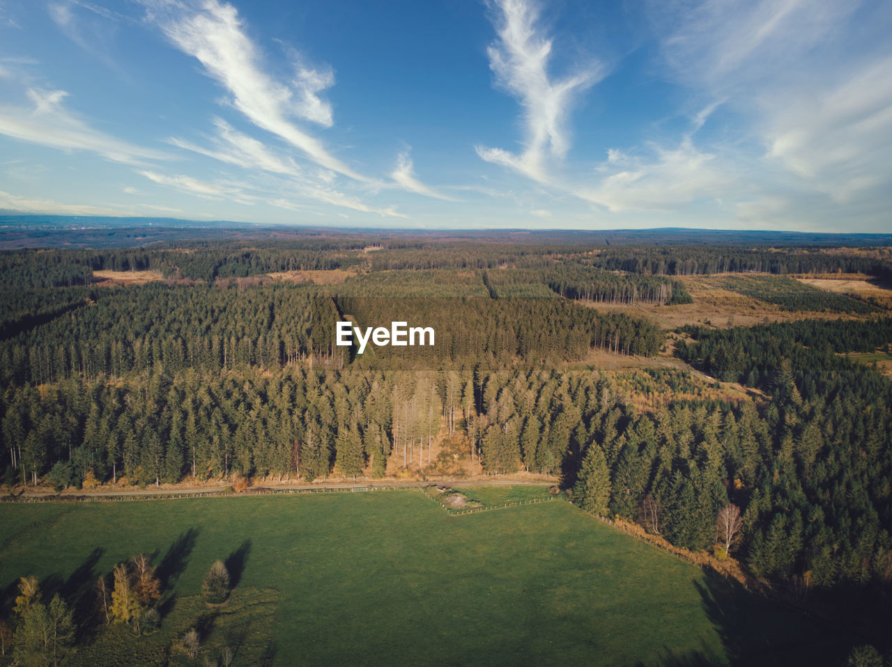 Aerial of pine forest and meadow and pasture in the ardennes, belgium. beauty in nature.