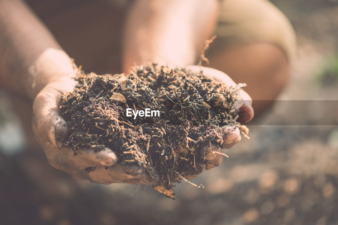 CLOSE-UP OF HAND HOLDING DRY PLANT