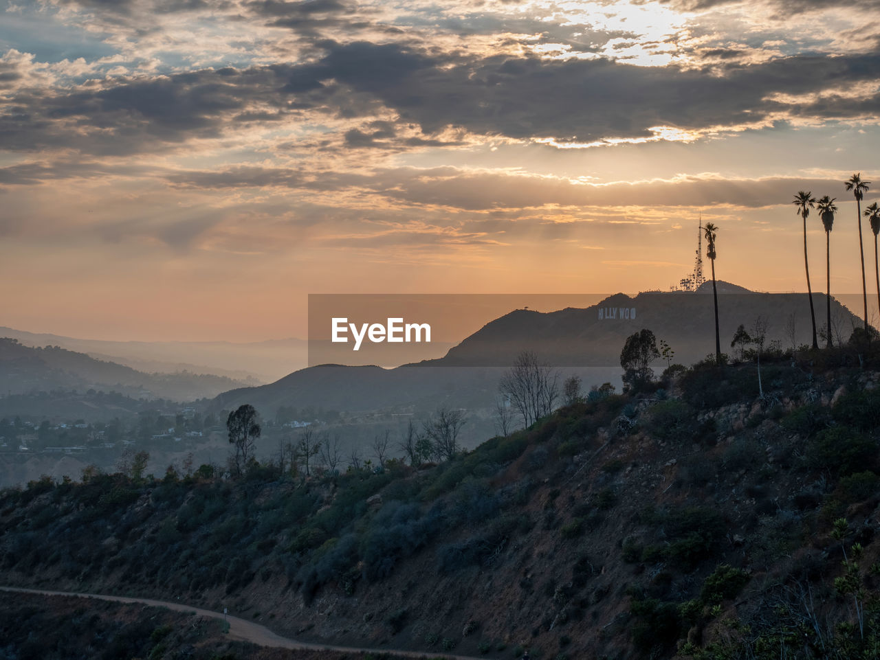 Beautiful view of the hills of hollywood in the summer at sunset.