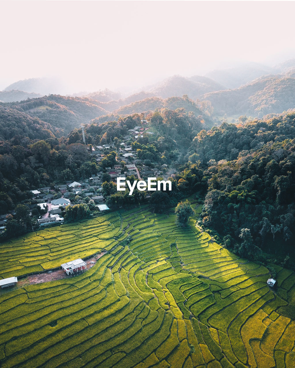 Aerial view of agricultural field