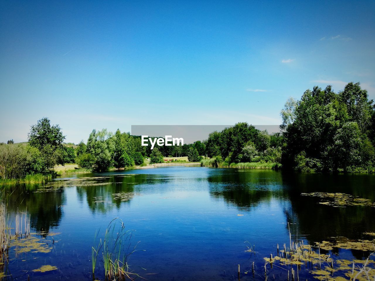 SCENIC VIEW OF LAKE IN FOREST AGAINST SKY