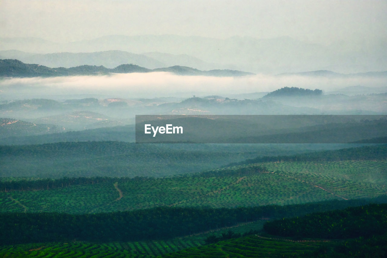 Aerial view of misty morning at highlands area in asahan, melaka, malaysia