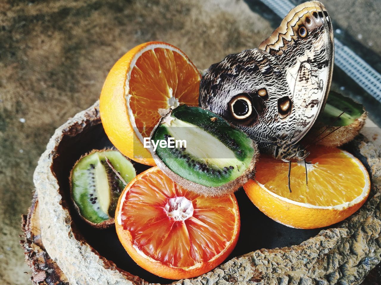 Close-up of butterfly on orange fruit