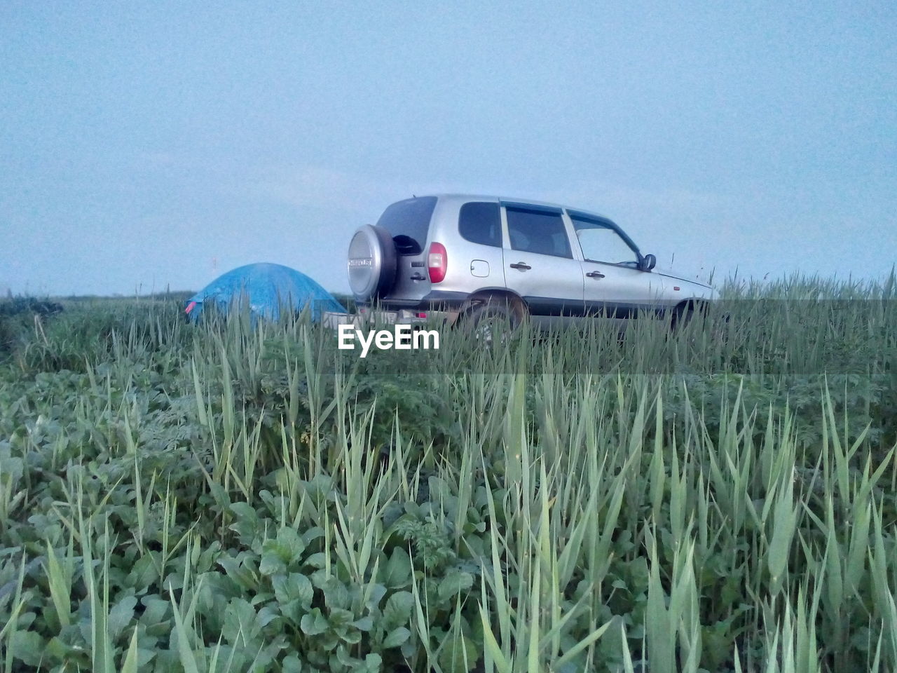 VIEW OF CAR ON FIELD