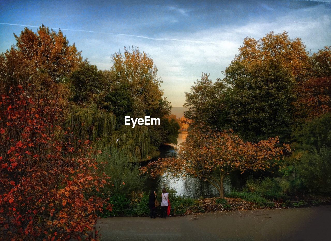 Rear view of two people overlooking trees