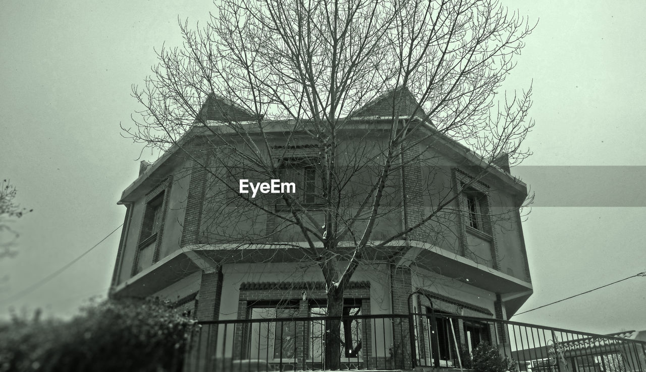 LOW ANGLE VIEW OF BUILDING AND BARE TREE AGAINST SKY
