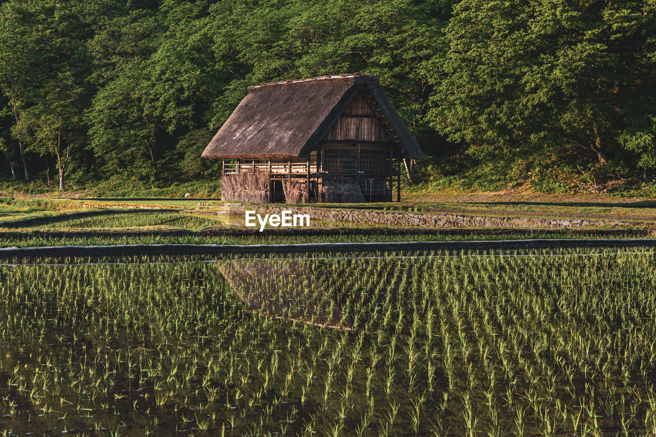 Scenic view of farm against trees and plants