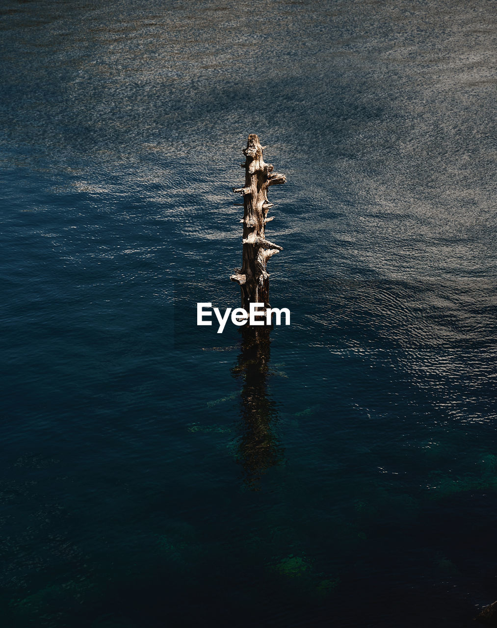 HIGH ANGLE VIEW OF WOODEN POST AT SEA