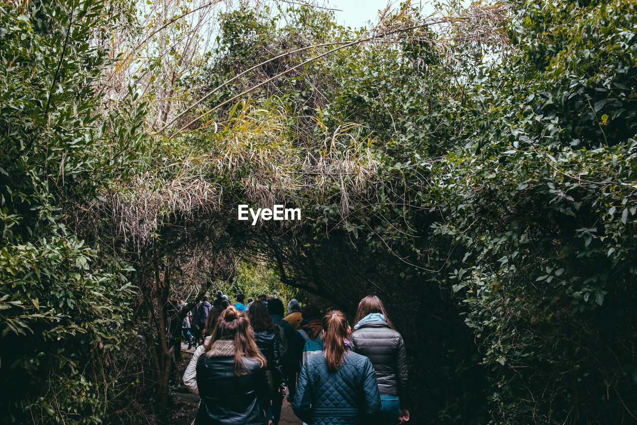 REAR VIEW OF PEOPLE WALKING ON PLANTS