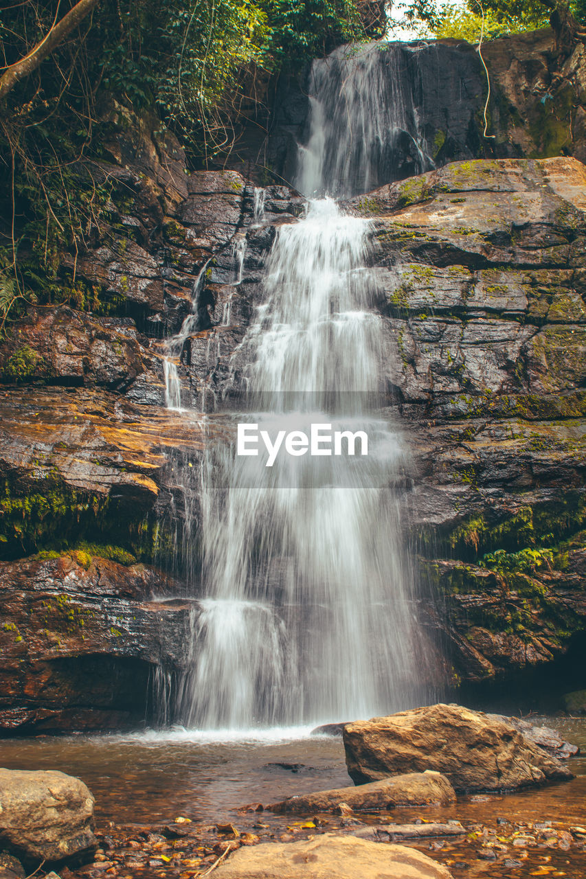 Scenic view of waterfall in forest