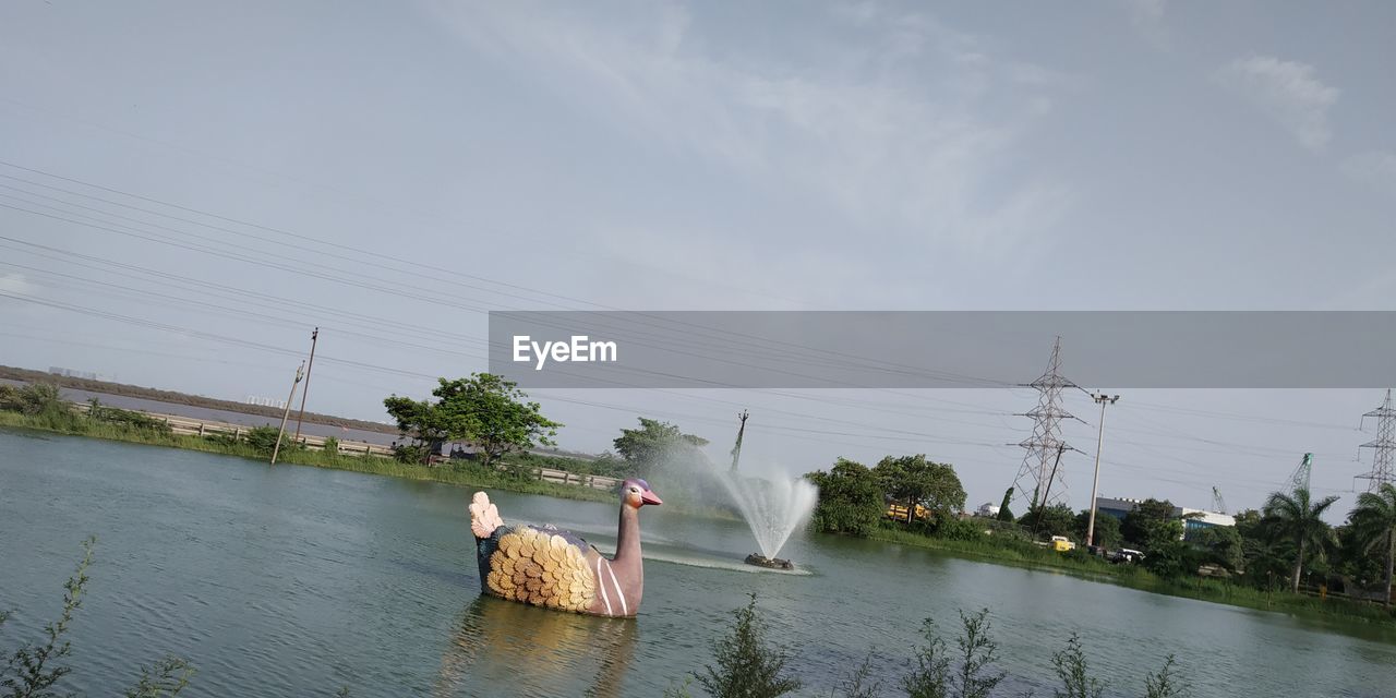 VIEW OF BIRDS IN RIVER