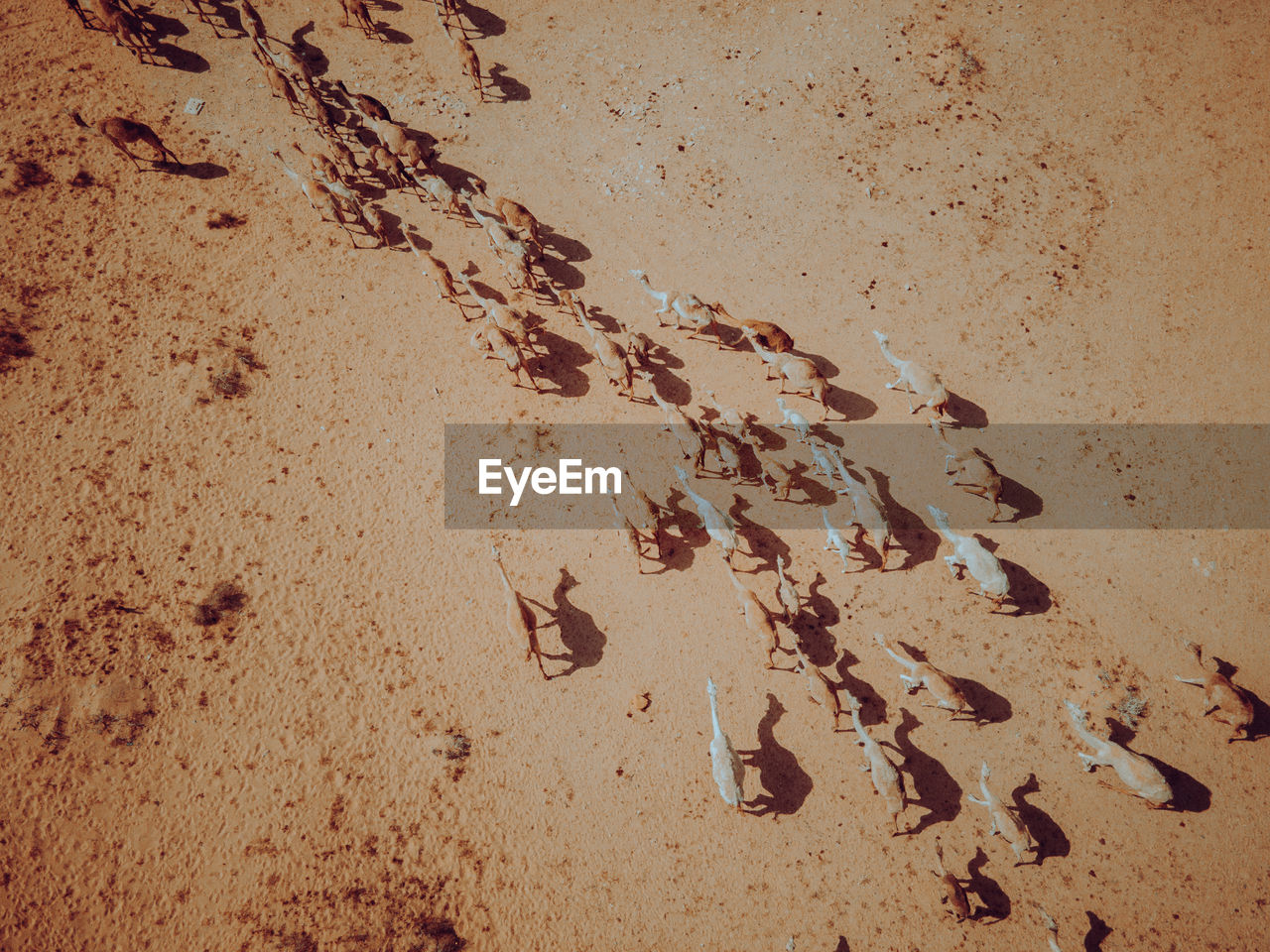 High angle view of footprints on sand