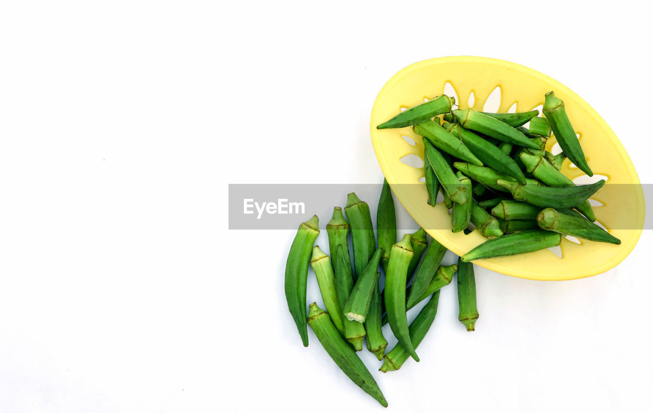 HIGH ANGLE VIEW OF FRESH GREEN LEAF AGAINST WHITE BACKGROUND