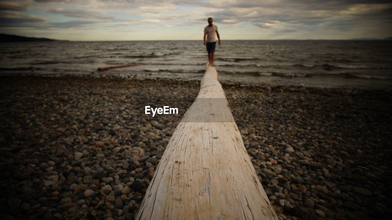 A man walking on driftwood between the ocean and the stony beach