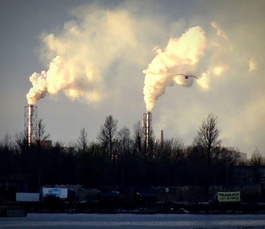 VIEW OF TREES AGAINST CLOUDY SKY