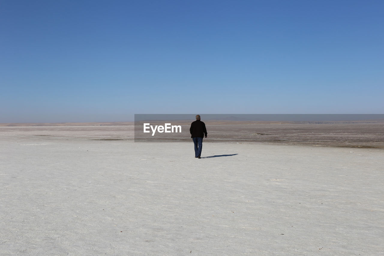 Rear view of man walking in desert