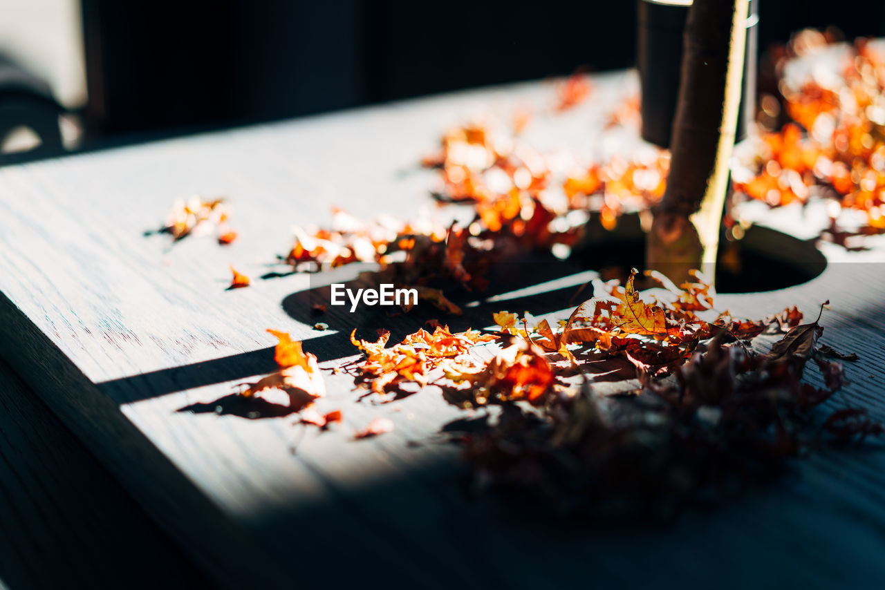 Close-up of dry leaves on table during autumn