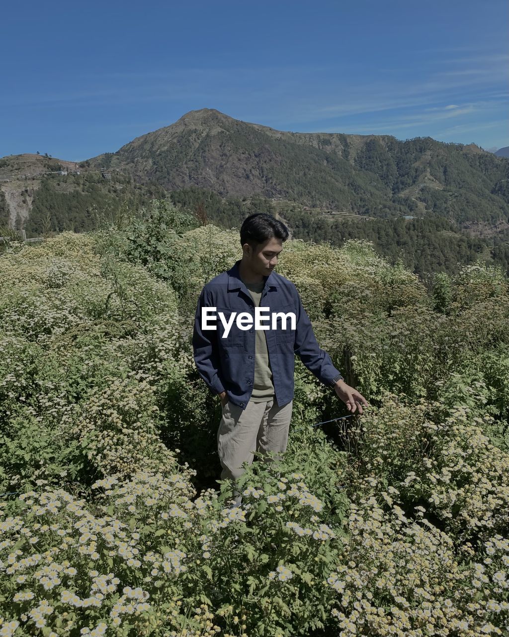 Rear view of man standing on mountain