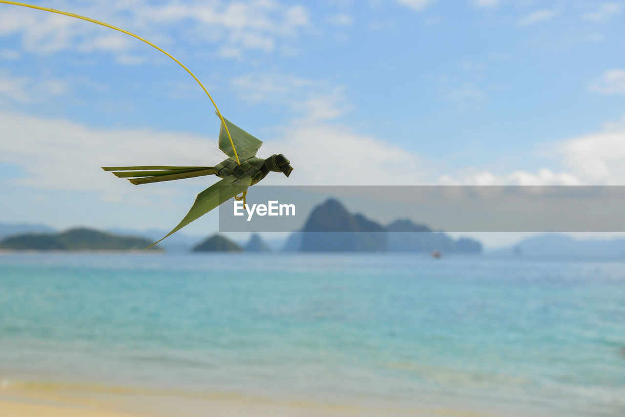 Bird made of palm tree leaf with a beach, sea and islands in the background.