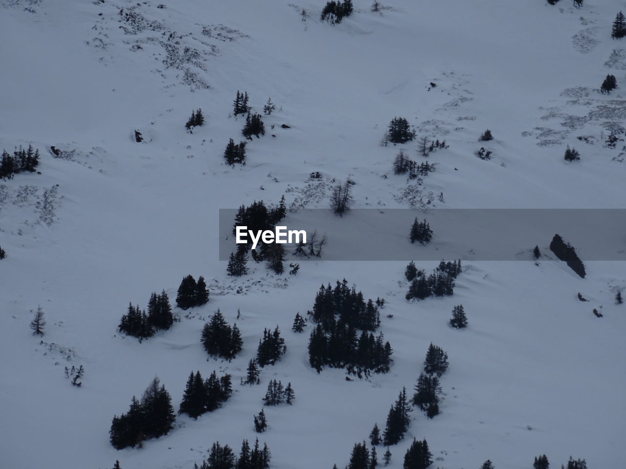 HIGH ANGLE VIEW OF SNOW COVERED TREES ON FIELD