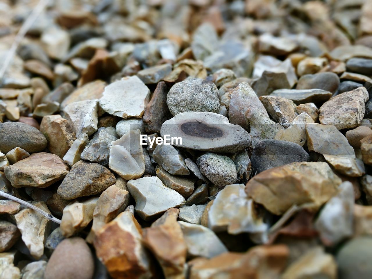 CLOSE-UP OF PEBBLES ON BEACH