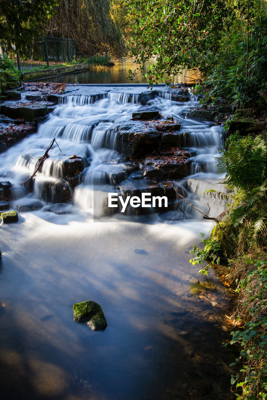 VIEW OF WATERFALL IN FOREST