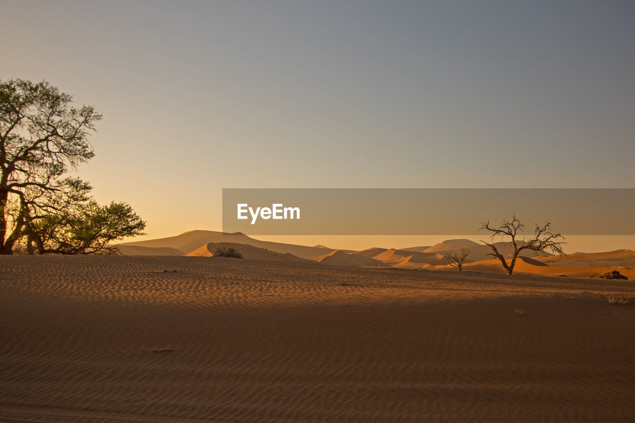 Scenic view of desert against clear sky