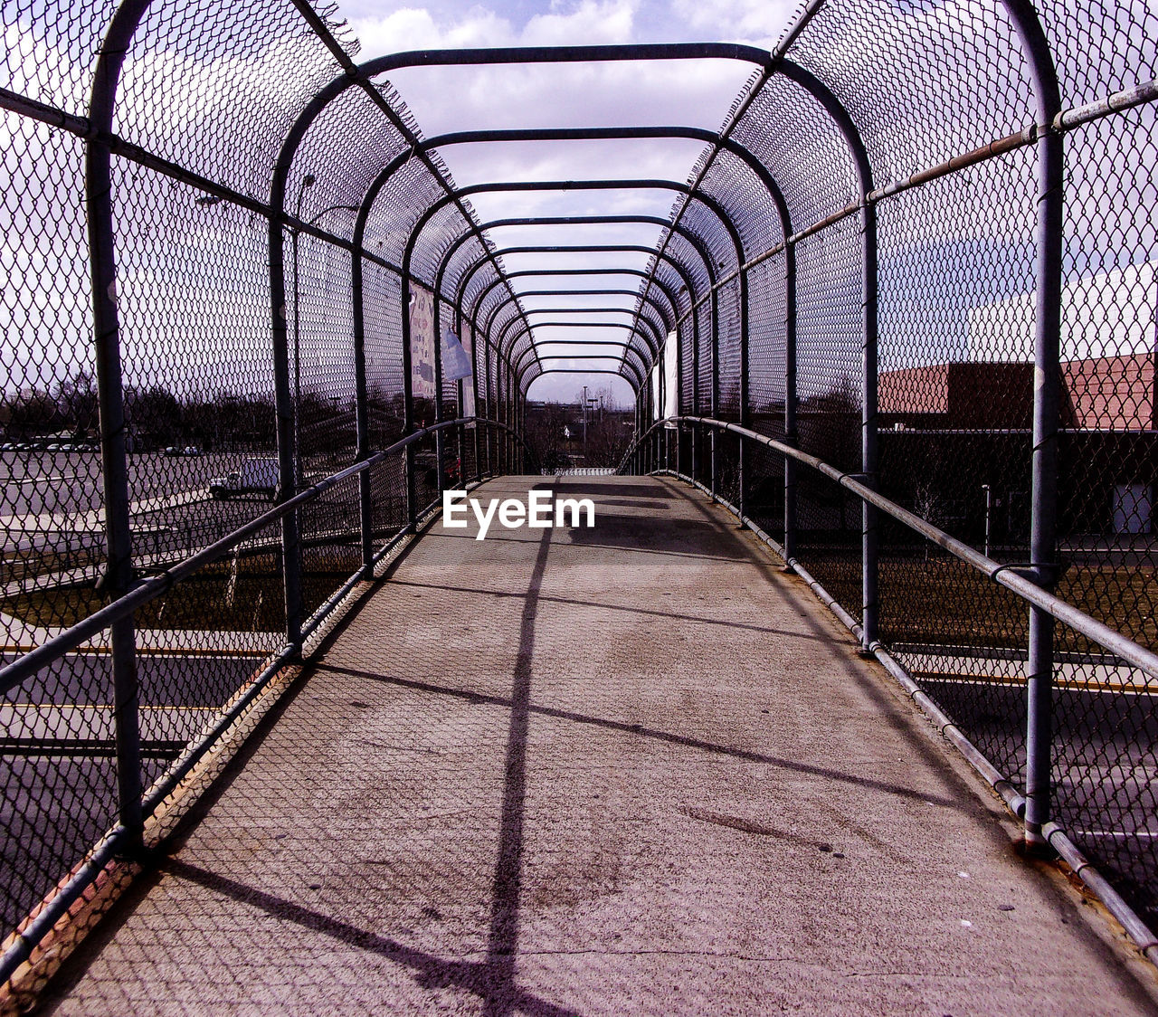 WALKWAY IN GREENHOUSE