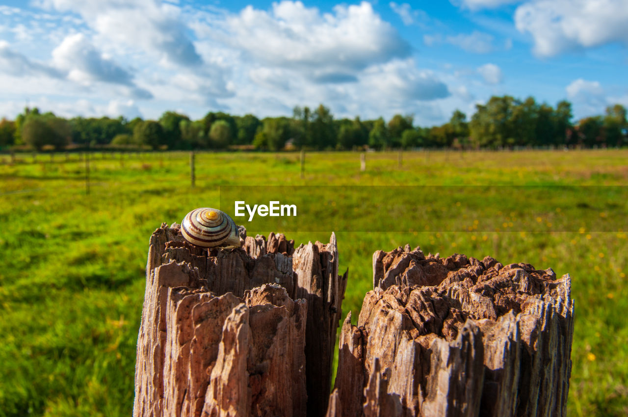 WOODEN POST ON FIELD