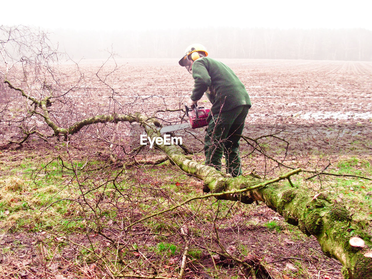Man cutting fallen tree on field