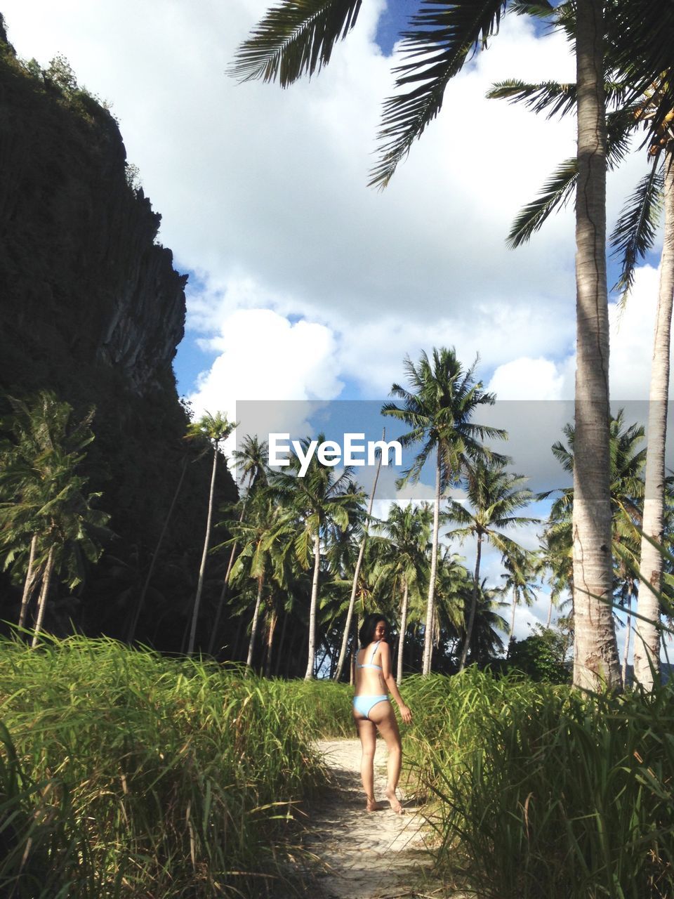 REAR VIEW OF WOMAN STANDING BY PALM TREES ON LAND