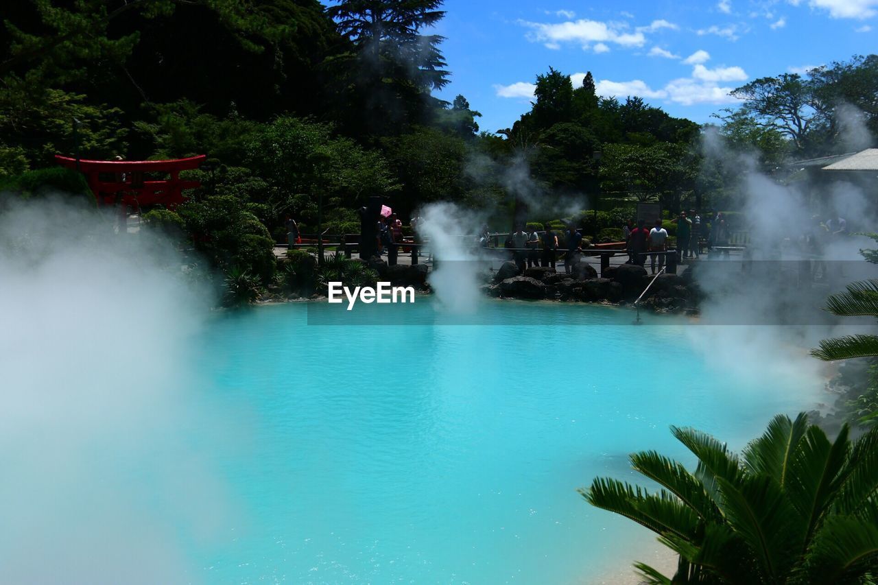 View of hot spring against trees