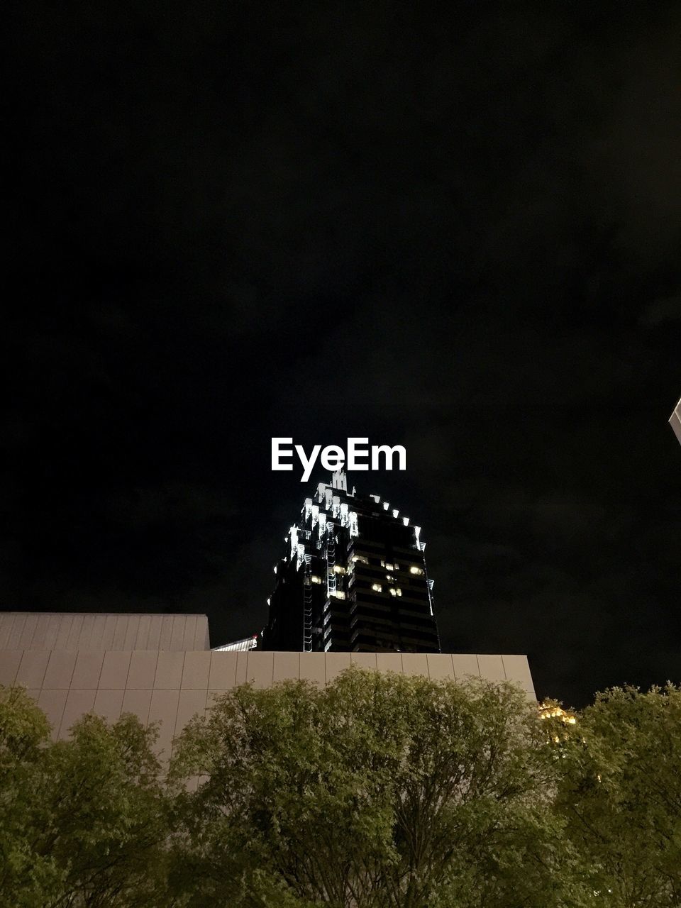 VIEW OF TREES AT NIGHT