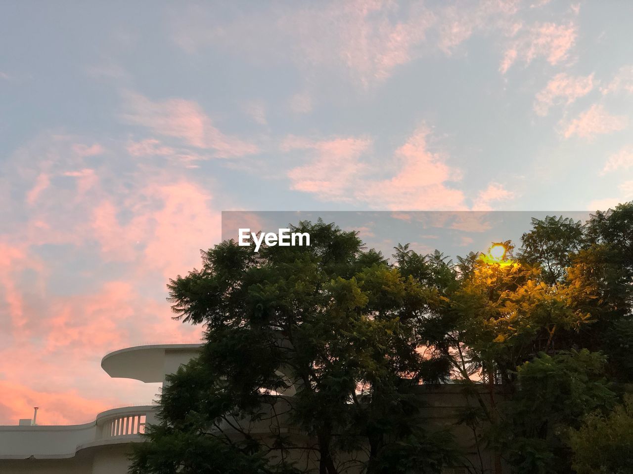 LOW ANGLE VIEW OF TREES AND BUILDING AGAINST SKY DURING SUNSET