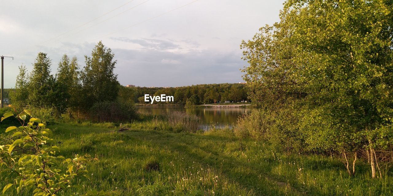 SCENIC VIEW OF LAKE AGAINST TREES