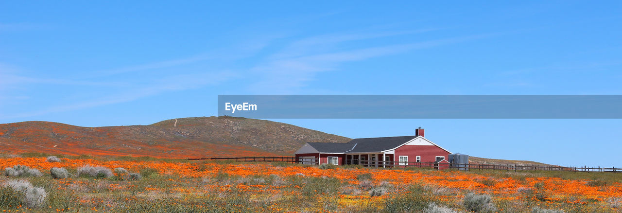 HOUSE ON FIELD AGAINST SKY