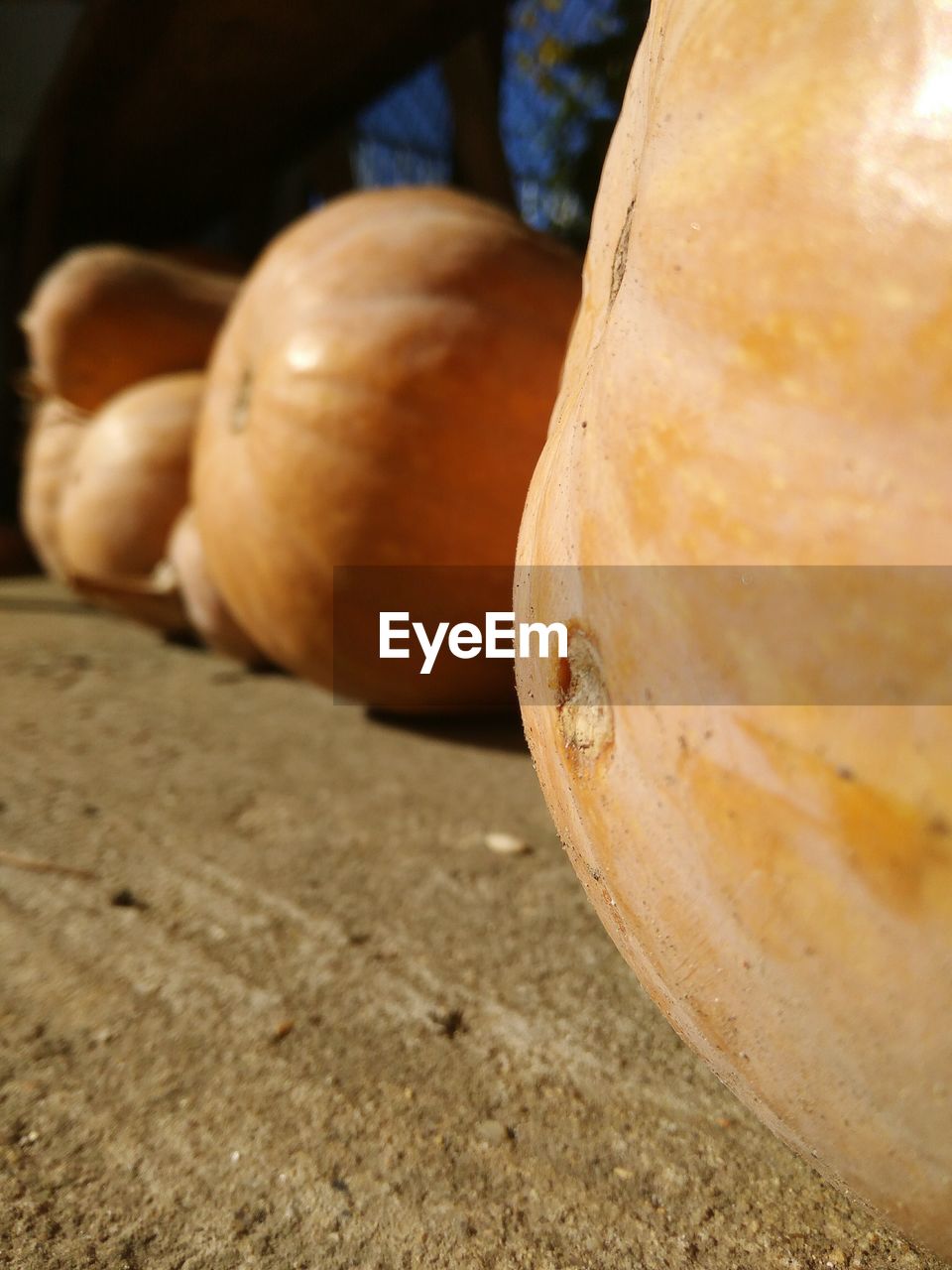 CLOSE-UP OF ORANGE