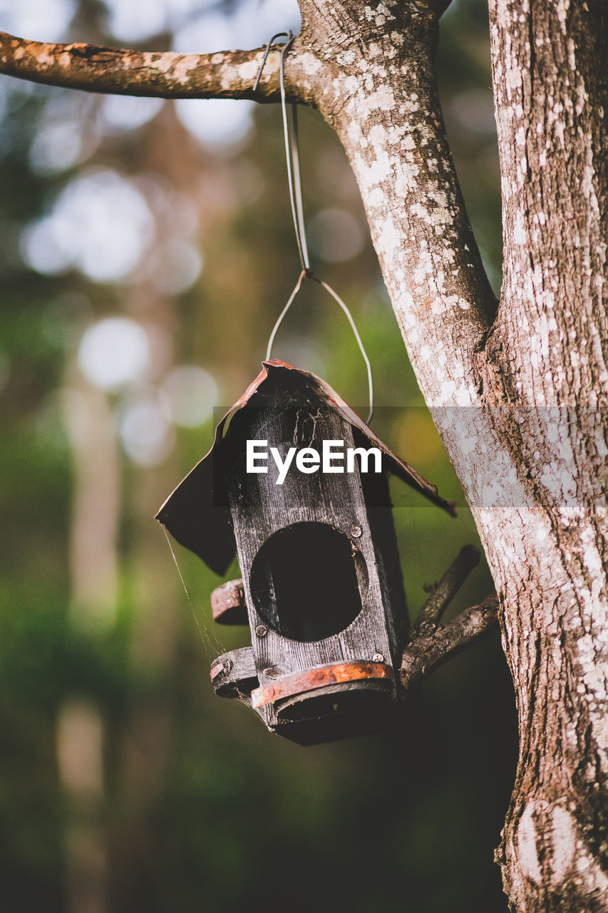 Close-up of birdhouse hanging on tree