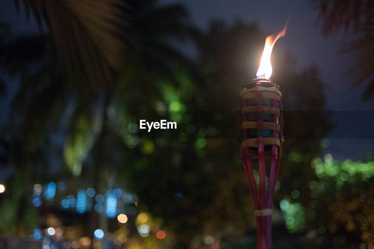 Low angle view of fire against trees at night