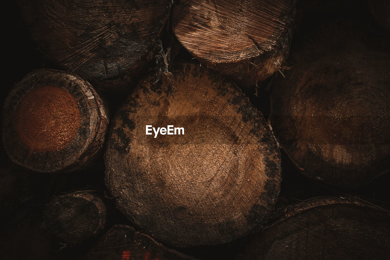 FULL FRAME SHOT OF FIREWOOD IN FOREST