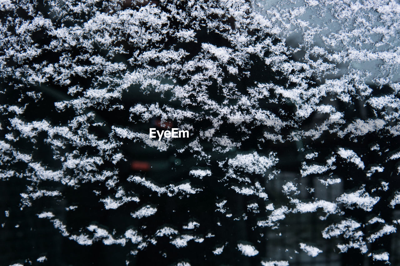 Close-up of frozen glass during winter