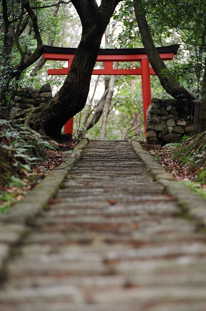 Walkway leading toward torii gate