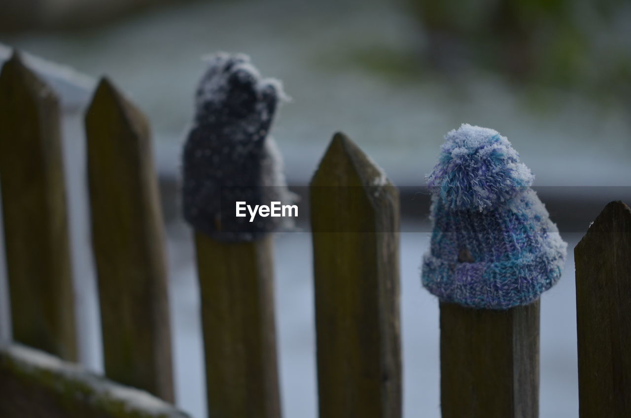 Close-up of knit hats on picket fence