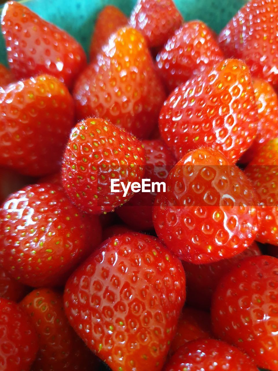 FULL FRAME OF STRAWBERRIES