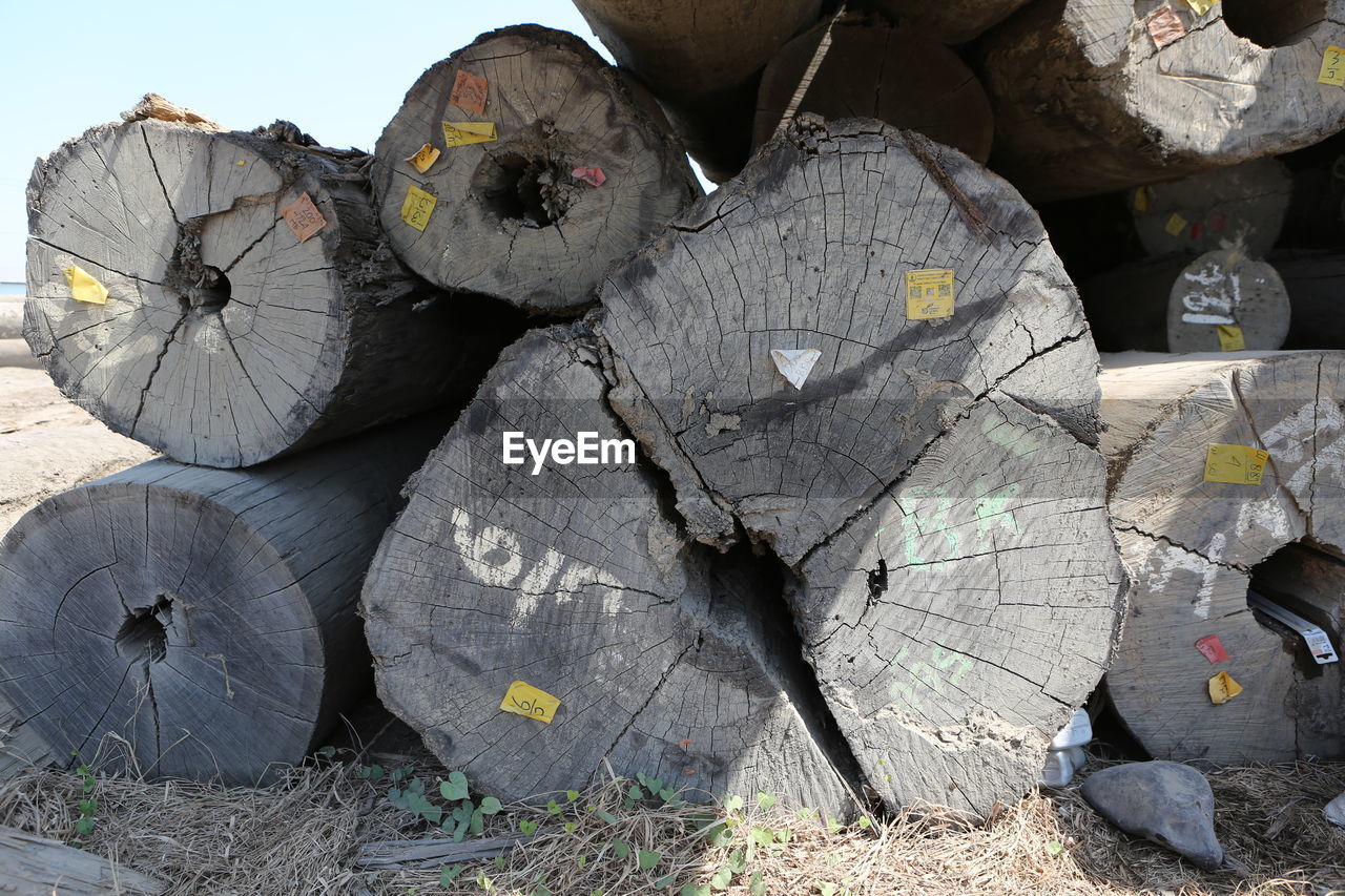 CLOSE-UP OF LOGS ON WOOD