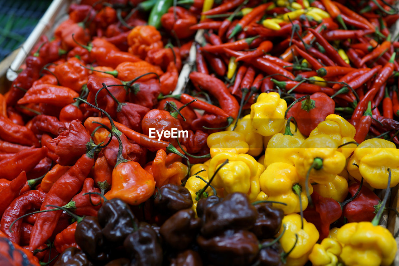 CLOSE-UP OF CHILI PEPPERS FOR SALE AT MARKET