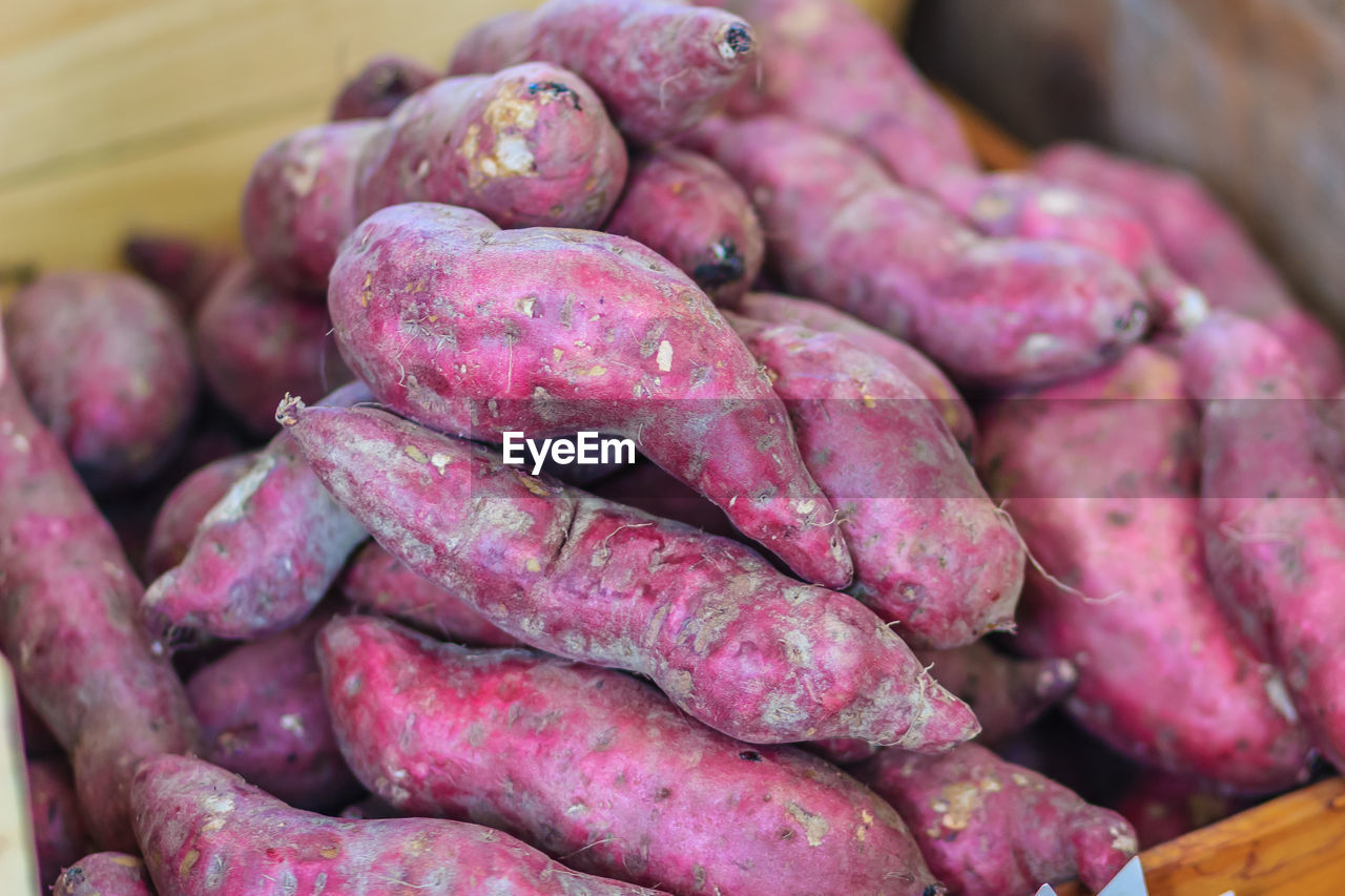 CLOSE-UP OF PINK FOR SALE AT MARKET