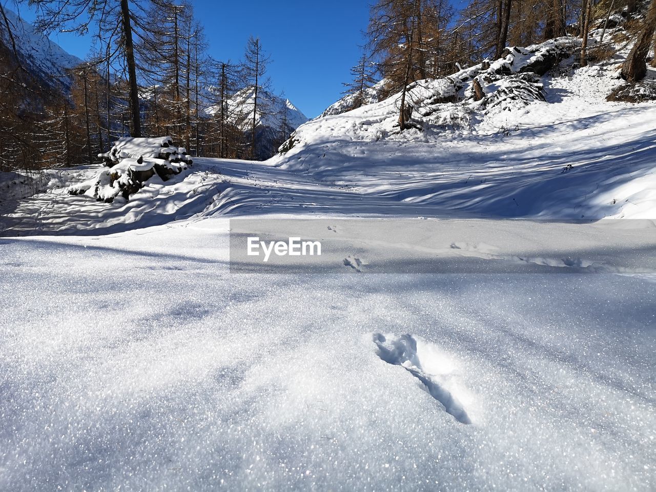 Animal tracks on snow covered landscape