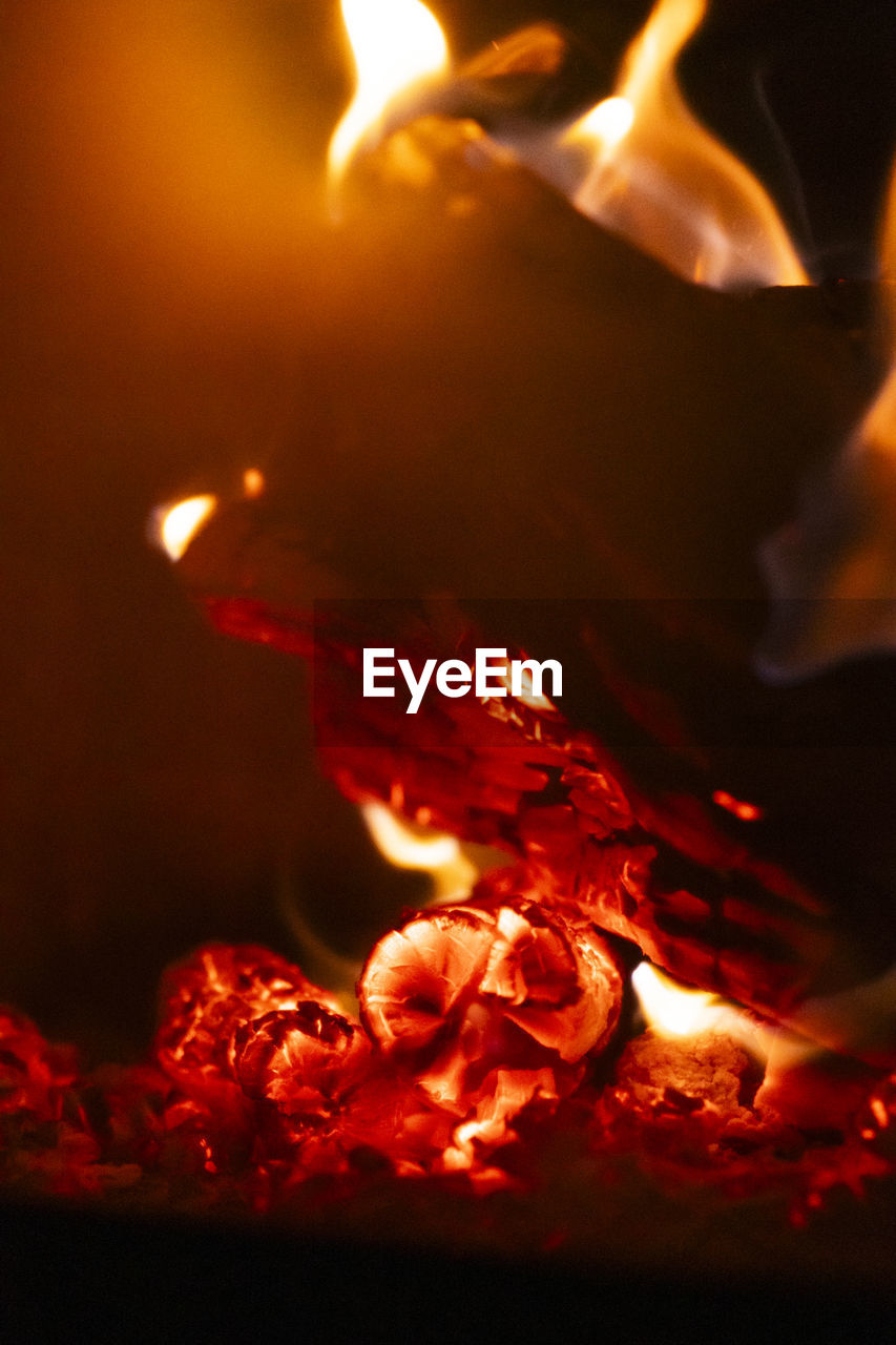 burning, fire, flame, heat, red, no people, nature, campfire, close-up, darkness, glowing, night, indoors, motion, log