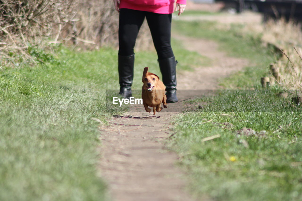 LOW SECTION OF PERSON WITH DOG ON DIRT ROAD